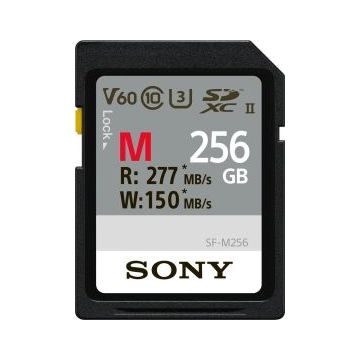 256 GB Premium SDXC Karte 256 GB UHS-II U3 C10 SD-Speicherkarte ideal für Fotographers Read Speed up to 300 MB/s Voggers und Filmmakers Wiedergabe bis zu 250 MB/s 