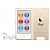 APPLE iPod nano, 16GB, Generation 8, Gold (MKMX2) - current version