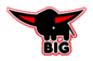BIG