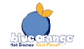 BLUE ORANGE