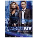 CSI: NY - Season 2.1 (3 DVDs)