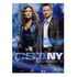 CSI: NY - Season 2.1 (3 DVDs)