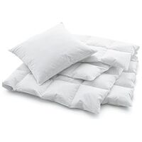 BILLERBECK Swiss Dream Soft Basic 90 Pillow, 65 x 65 cm à partir de CHF ...