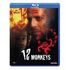 12 Monkeys (Blu-ray, B.Willis / M.Stowe)