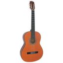 Classic Guitars, Various / Noname