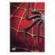 Spider-Man Trilogy (DVD, T.Maguire / K.Dunst)