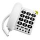 DORO PhoneEasy 311c