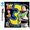 Toy Story 3 - Das Videospiel (Disney), NDS