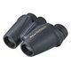NIKON Travelite EX 10x25 CF (BAA706AA)