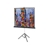 PROJECTA Professional 152x152cm (10430108)