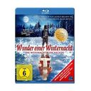 Wunder einer Winternacht - Die Weihnachtsgeschichte (Blu-ray, H.-P.Björkman / O.Gustavsson)