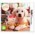 Nintendogs + Cats - Golden Retriever & New Friends (Nintendo), 3DS