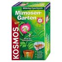 Mimosen-Garten (Kosmos)