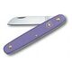 VICTORINOX Floral Knife, Purple (3.9050.22)