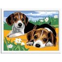 Malen nach Zahlen - Jack Russel Welpen (Ravensburger)