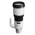 SONY 500mm F/4.0 G (SAL-500F40G)