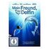 Mein Freund, der Delfin (M.Freeman / A.Judd)