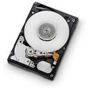 HGST Ultrastar C10K900, 600GB, Bulk (HUC109060CSS600 / 0B26013)