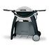 WEBER Q 200 Station mit Rollwagen