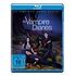 The Vampire Diaries - Die komplette dritte Staffel (Blu-ray)