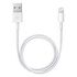 APPLE Lightning to USB Cable, 0.5m (ME291)