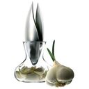 EVA SOLO Knoblauchpresse (567625)