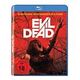Evil Dead (Blu-ray, Cut, J.Levy / S.Fernandez)