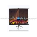 ELITE SCREENS T119NWS1, 213x213cm, Weiss