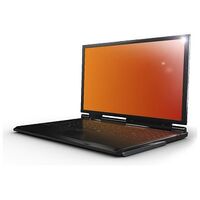 3M GPF13.3W9 Notebook Privacy Filter Gold (98044054991)