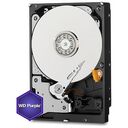 WESTERN DIGITAL Purple, 2.0TB (WD20PURX)