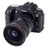 CANON EOS D60 (7508A004)