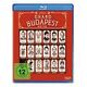 Grand Budapest Hotel (Blu-ray, R.Fiennes / A.Brody)