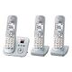 PANASONIC KX-TG6823GS, Silver