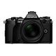 OLYMPUS OM-D E-M5 Mark II Kit, 12-40mm, Schwarz (V207041BE000)