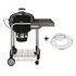 WEBER Performer GBS (15301004)