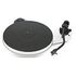 PRO-JECT RPM 3 Carbon, White