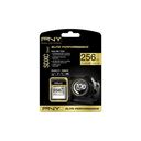 PNY SDXC Elite Performance, 256GB (SD256ELIPER-EF)