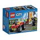 LEGO City - Feuerwehr-Buggy (60105)