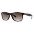 RAY-BAN Andy, Brown (RB4202 607313 55-17)