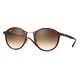 RAY-BAN RB4242, Havana / Brown (RB4242 620113 49-21)