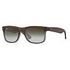 RAY-BAN Justin Classic, Braun / Grün (RB4165 854/7Z 51-16)