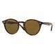 RAY-BAN RB2180, Havana / Brown (RB2180 710/73 49-21)