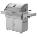 NAPOLEON Charcoal Professional Barbecue