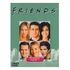 Friends, Staffel 09 - Box Set