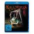 Krampus (Blu-ray, A.Scott / T.Colette)