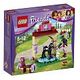 LEGO Friends - Foal´s Washing Station (41123)