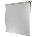 CELEXON Professional Line, 300x225cm (1090055)