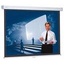 PROJECTA ProScreen 240x139 cm (10240212)
