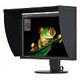 EIZO CG2420