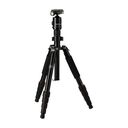 ROLLEI Compact Traveler No. 1, Schwarz (22585)